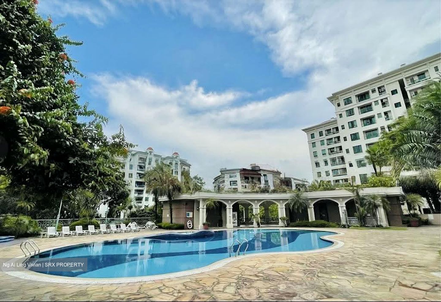 Chantilly Rise (D23), Condominium #620752311